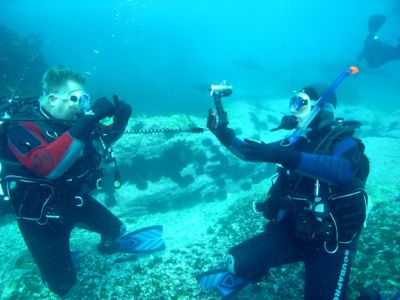 photo with seals